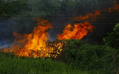 Incendi boschivi, ecco il piano triennale della Regione Campania